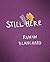 Still Here