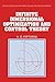 Infinite Dimensional Optimization and Control Theory (Encyclopedia of Mathematics and its Applications Book 62)
