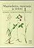 Maarianheinä, Mesimarja Ja Timotei: Suomen Luonnonvaraisia Kasveja