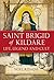 Saint Brigid of Kildare: Life, Legend and Cult