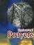 Universal Prayers