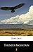 Thunder Mountain by Zane Grey
