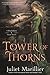 Tower of Thorns (Blackthorn & Grim, #2)