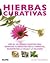 Hierbas curativas
