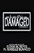 Damaged (Voyeur Book 4)