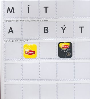 mít a být