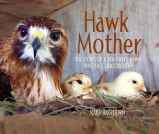 Hawk Mother: The Story of a Red-tailed Hawk Who Hatched Chickens (Hardcover)