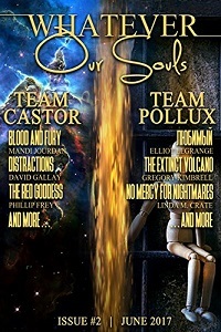Whatever Our Souls Issue #2: June 2017