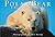 Polar Bear: A book of postc...