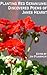 Planting Red Geraniums by James Hearst