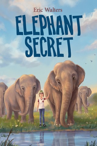 Elephant Secret (Hardcover)