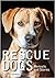 Rescue Dogs: Portraits and ...