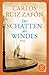 Der Schatten des Windes