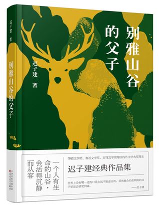 别雅山谷的父子 (Hardcover)