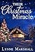 Their Christmas Miracle (Ch...