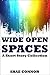 Wide Open Spaces: A Short Story Collection