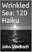 Wrinkled Sea:  120 Haiku