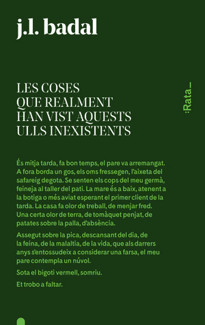 Les coses que realment han vist aquests ulls inexistents (Paperback)