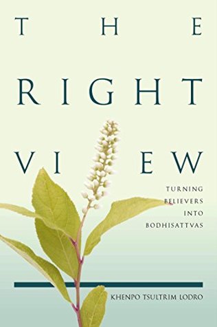 The Right View: Turning Believers into Bodhisattvas (Kindle Edition)
