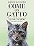 Come un Gatto: Tutto quello che ho imparato sulla vita e sull'amore dai gatti randagi (Italian Edition)