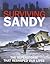 Surviving Sandy: The Superstorm That Reshaped Our Lives