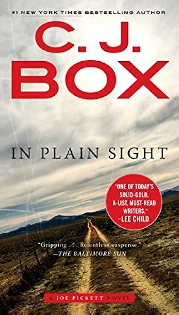 In Plain Sight (Joe Pickett, #6)