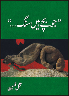 Jo Bache Hain Sang / جو بچے ہیں سنگ (Hardcover)