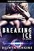Breaking Ice (The Jendari B...