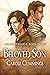 Beloved Son (Aisling, #3)