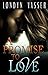 A Promise To Love: A Stranded Vacation Romance