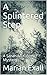 A Splintered Step (Sarah Mc...