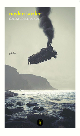 Naylon Sözler (Paperback)