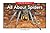 all about spiders