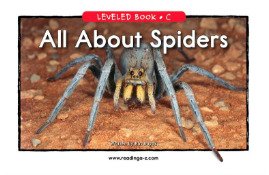 all about spiders