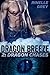 Dragon Chases by Rinelle Grey
