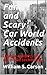 Fun and Scary Car World Acc...