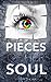 Pieces of Her Soul (Soul Te...