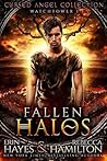 Fallen Halos by Erin Hayes