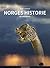 Norges historie - en innføring