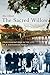 The Sacred Willow by Duong Van Mai Elliott