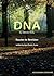 DNA by Dennis Kelly: Routes to Revision