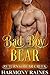 Bad Boy Bear (Return to Bear Creek #9)