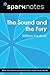 The Sound and the Fury (SparkNotes Literature Guide) (SparkNotes Literature Guide Series)