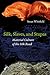 Silk, Slaves, and Stupas: Material Culture of the Silk Road