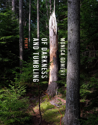 Of Darkness and Tumbling (Paperback)