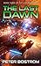 The Last Dawn by Peter Bostrom
