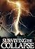 Surviving the Collapse by James  Hunt