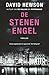 De stenen engel (Pieter Vos, #4)