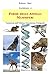 FORME DEGLI ANIMALI MAMMIFE...
