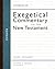 Romans (Zondervan Exegetical Commentary on the New Testament)